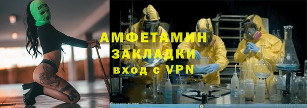гашик Алексин