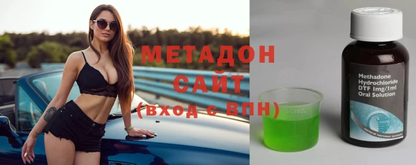 гашик Алексин