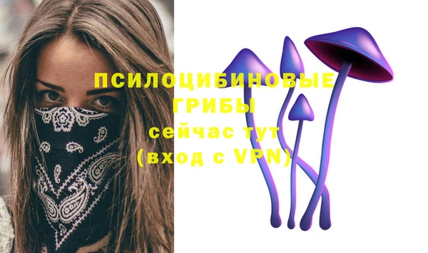 эйфоретик Абаза