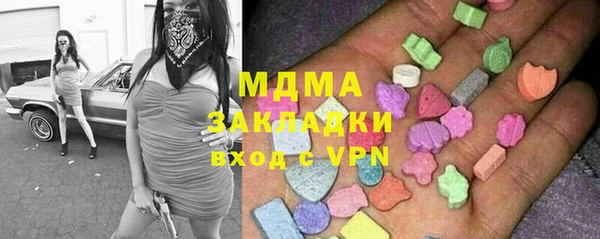 гашик Алексин