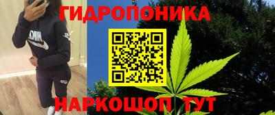 гидра Заволжье