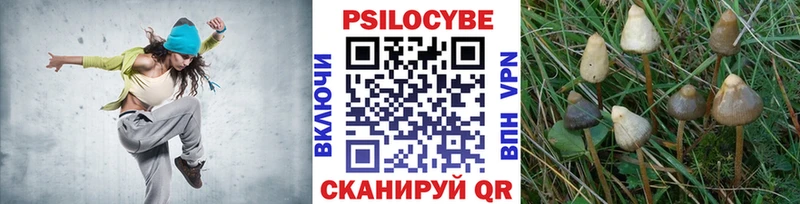 купить наркотики сайты  Братск  Галлюциногенные грибы мухоморы 