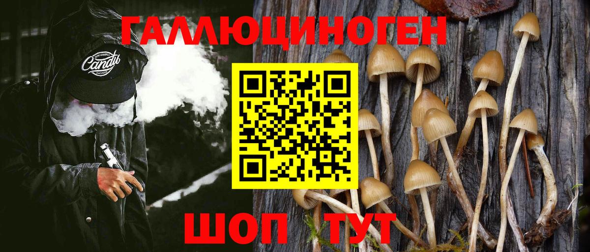 Галлюциногенные грибы Magic Shrooms Братск