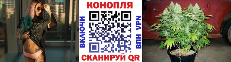 Бошки Шишки OG Kush  сколько стоит  гидра рабочий сайт  Братск 